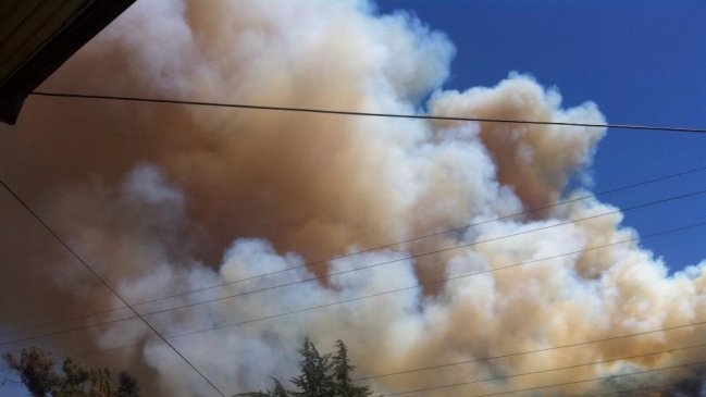 Incendio forestal afecta a San José de Maipo