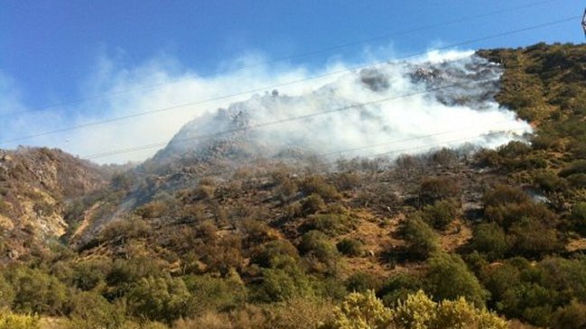 Onemi levantó alerta roja por incendios forestales en la región Metropolitana
