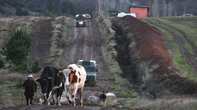 Abren sumario sanitario por malos olores en Quillota