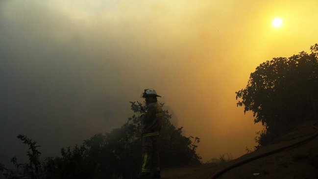Cuatro bomberos fueron detenidos por incendios en predio de Ercilla