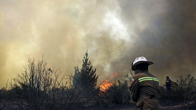 En prisión preventiva los cuatro bomberos que incendiaron un fundo en Ercilla