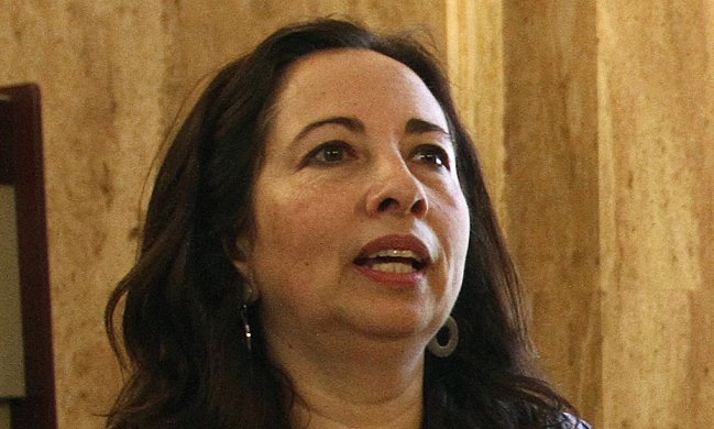 Diputada: El lucro era un secreto a voces, pero a Beyer le estalló y no hizo nada