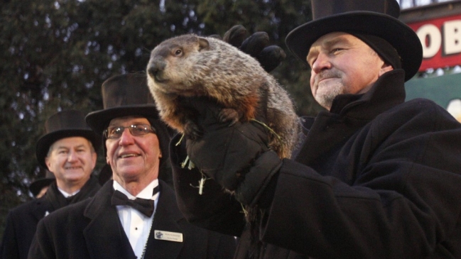 La marmota Phil enfrenta 