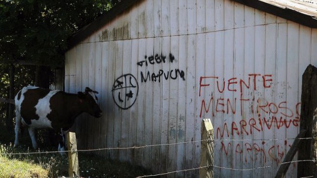 Justicia amplió detención de dos comuneros mapuche imputados por robo en Collipulli