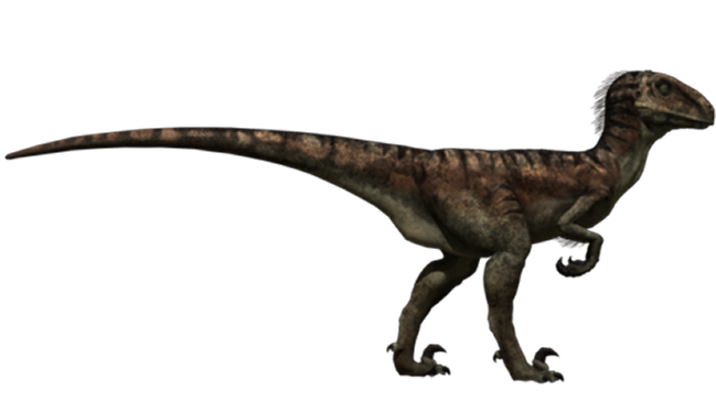 Delincuentes robaron dinosaurio desde un museo australiano