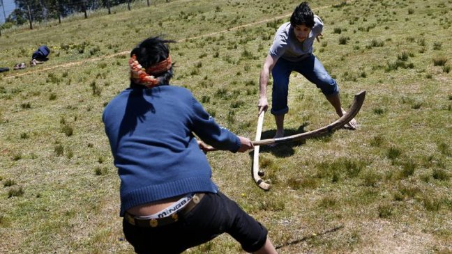 Llaguepulli: turismo en el corazón del territorio mapuche