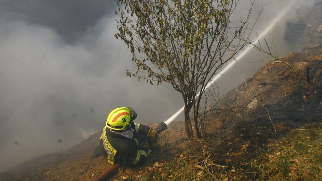Región de O'Higgins en alerta roja por cinco incendios forestales