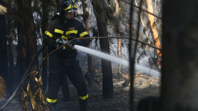 Se mantiene alerta roja por incendio forestal en Hijuelas