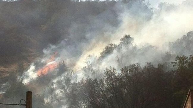 Incendio forestal moviliza a Bomberos en Lo Barnechea