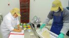 INE: Desempleo en trimestre diciembre-febrero fue 6,2 por ciento