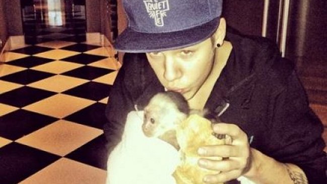 Mono que Justin Bieber tiene como mascota quedó en cuarentena en Alemania