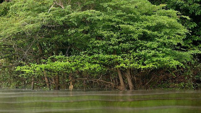 Previsiones astrológicas son afectadas por el cambio climático, según estudio