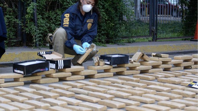 PDI incautó más de 354 kilos de marihuana en La Serena