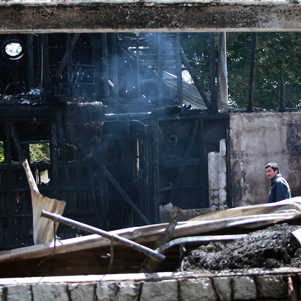 Empresarios de La Araucanía: Hay una 