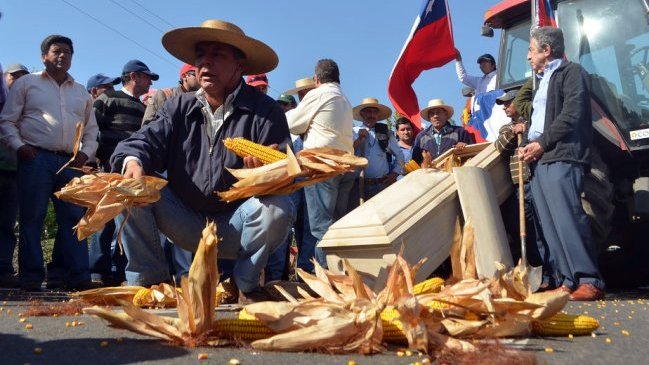Productores del Maule no quedaron conformes con salvaguardia al maíz