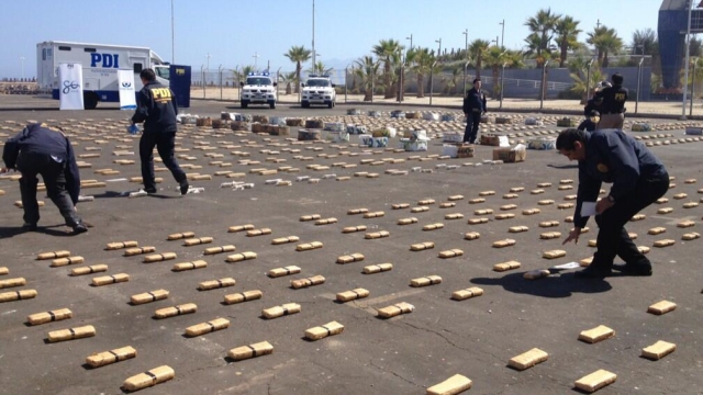 PDI realizó mayor incautación de droga de la historia de Antofagasta