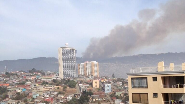 Incendio se desató en cerro La Cruz de Valparaíso