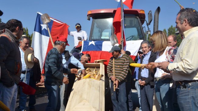 Agricultores del Maule se sienten en desventaja por salvaguardia al maíz