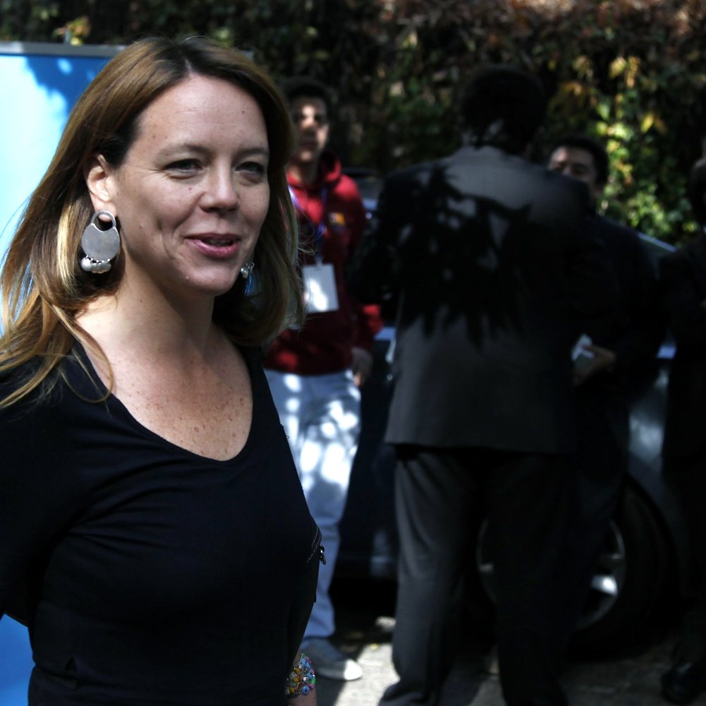 Von Baer explicó falta de primarias: Quedó mal legislado un punto