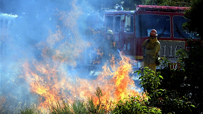 Incendio en California comenzó a perder fuerza por menores vientos