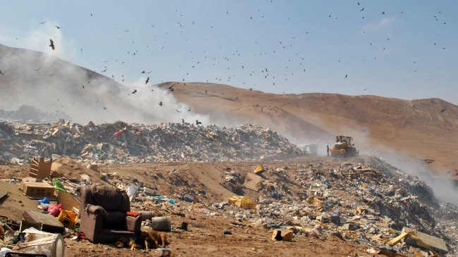 Experto cuestionó gestión de Chile en materia de medio ambiente