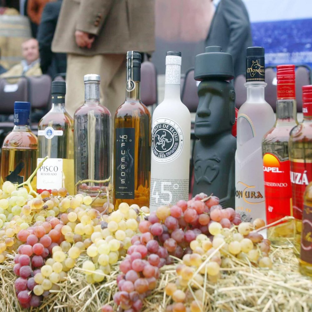 Día Nacional del Pisco se celebra por quinto año en todo el país