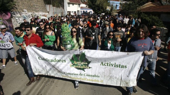 Este sábado se realizará marcha para pedir despenalización del autocultivo de marihuana