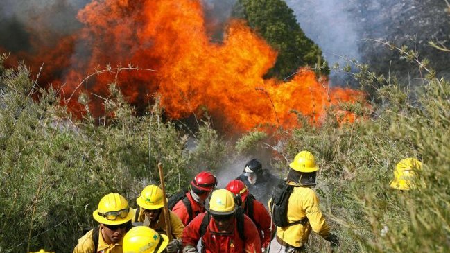 Conaf controló incendio forestal en Los Andes