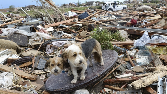 Autoridades rectifican cifra de fallecidos por tornado de Oklahoma: Murieron 24 personas