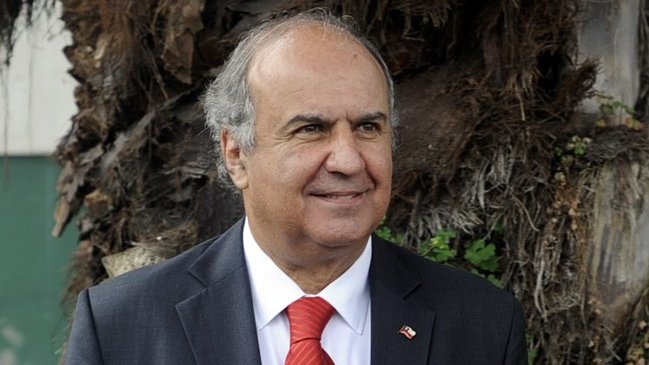 Ministro de Agricultura no descartó evacuar animales desde zona del Copahue