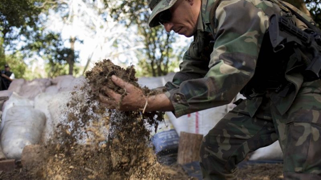 Autoridades incautaron 142 toneladas de marihuana en Paraguay