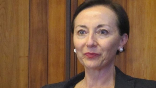 Joannon insistió en críticas a nominación de Chevesich a la Suprema