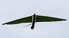 Crean un pájaro robot que engaña a las propias aves
