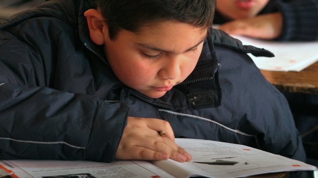 Simce de Lectura: Los mejores colegios, región por región