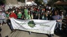 Cientista político: Ley 20.000 va a pasar a la historia como ineficiente y ambigua