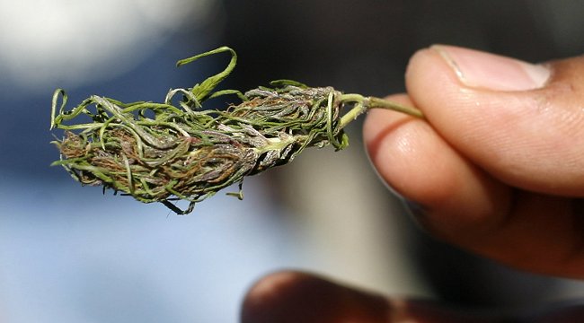 Vocero de la Corte Suprema abogó por una Ley de Drogas 