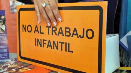  Gobierno: 229 mil niños trabajan en Chile  