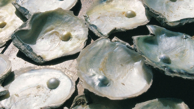 Las perlas son las esferas más perfectas de la naturaleza, según estudio