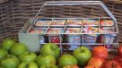 Marcas de yogur y pan de molde bajo la lupa de \