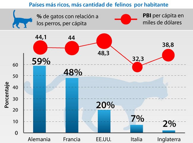 Imagen foto_00000014