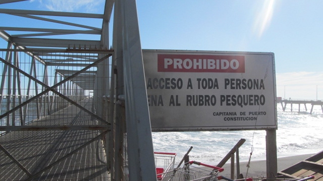 Alcalde de Constitución criticó construcción de muelles en Maguellines