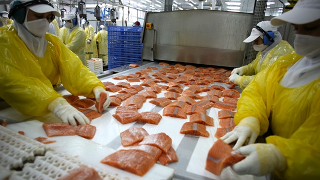 EE.UU. suspendió ingreso de salmón desde Chile contaminado con químico cancerígeno