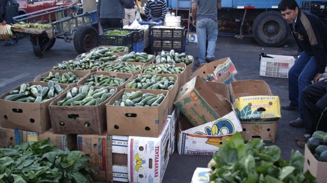 Advirten que bajas temperaturas pueden incidir en precios de las verduras