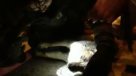 Bombero de Santiago reanima y salva a un perro