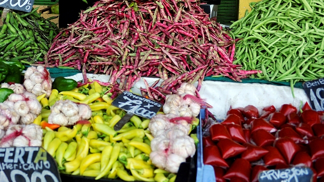 Expertos entregan claves para alimentar al mundo en el futuro