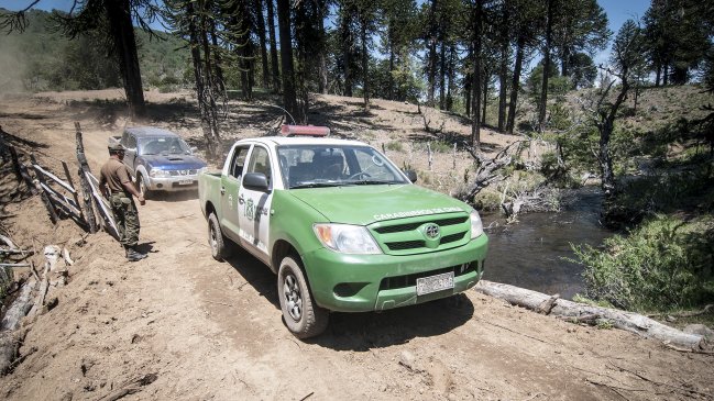 Siete detenidos tras ataque a puesto de Carabineros en Alto Biobío