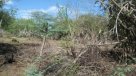 Haitiano falleció fulminado por un rayo en R. Dominicana