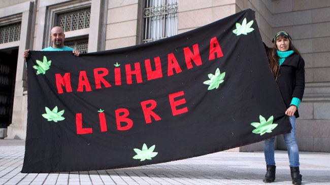 ONU a Uruguay: Legalizar la marihuana vulnera normas internacionales