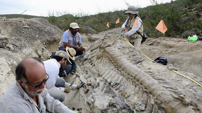 Un fósil de dinosaurios en plena pelea se subastará en Nueva York