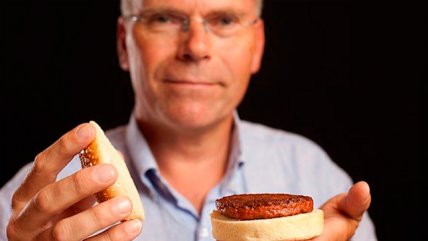 Experto comparó hamburguesa de células madre con plantación de vegetales